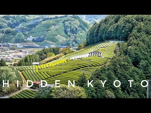 Video: Ultimativni Turistički Vodič Za Kyoto: Kamo Ići U Kyoto, Japan