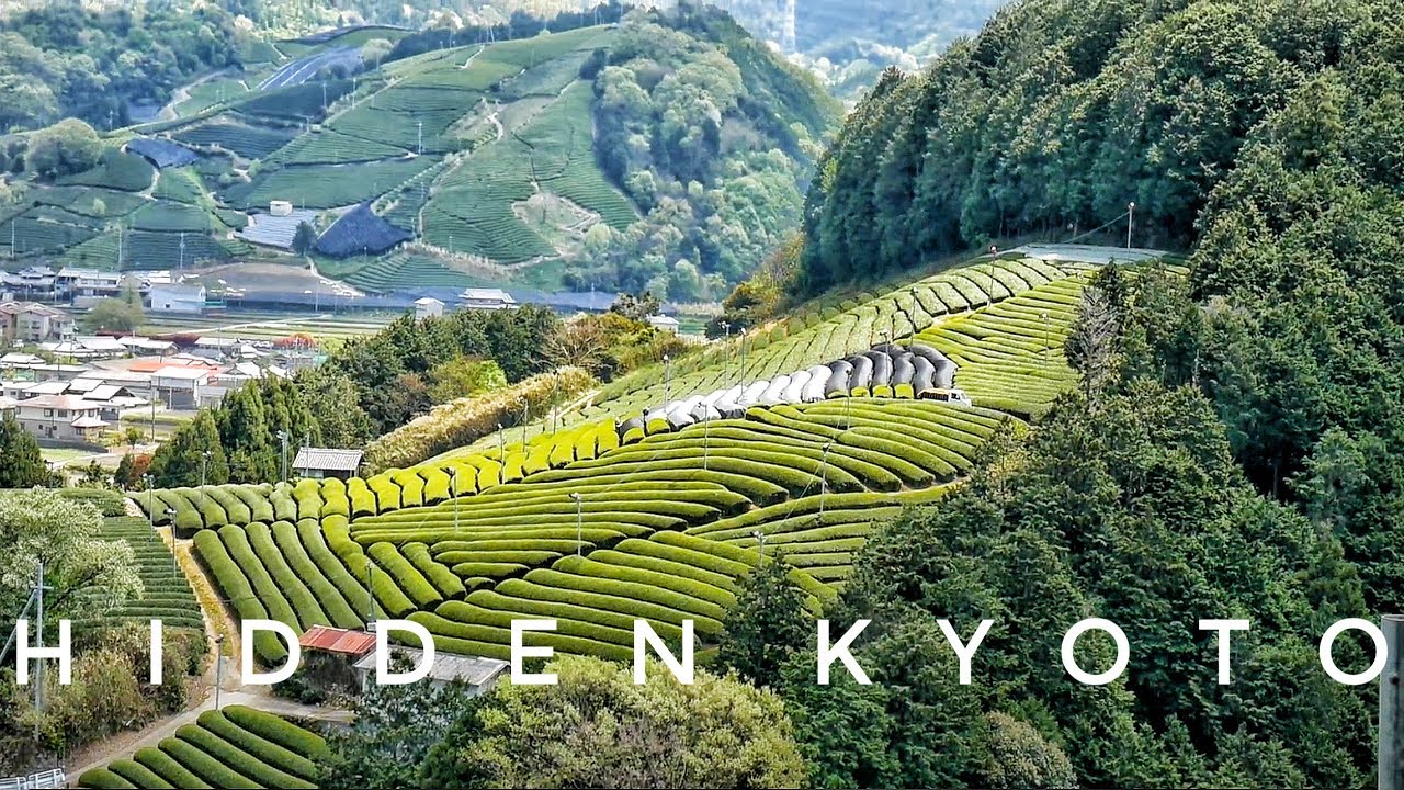 Kyoto Hidden Spots: Secret Japanese Tea Town