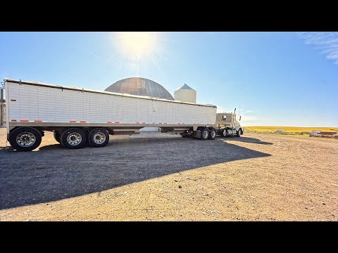"The Story Of Combining" Harvest 2025 pt. 3