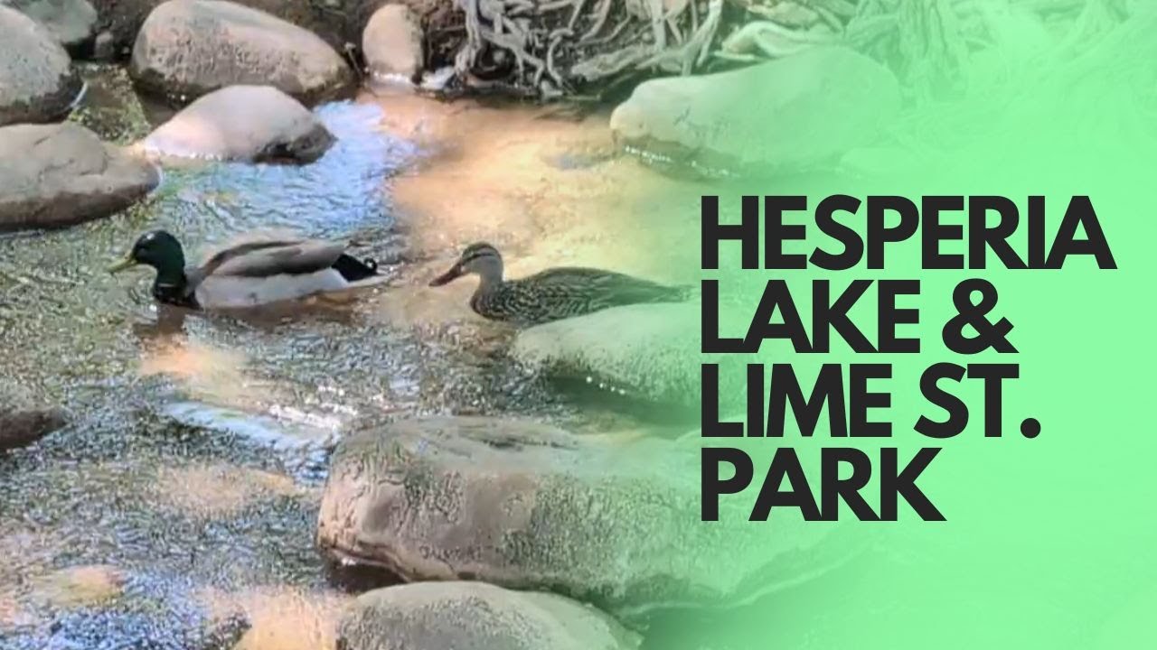 HESPERIA LAKE & LIME STREET PARK 2025