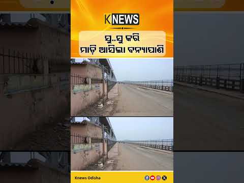ହୀରାକୁଦ ଡ୍ୟାମରୁ ଜଳ ନିଷ୍କାସନ ପରେ ବିଳମ୍ବିତ ରାତିରେ ମୁଣ୍ଡଳୀରେ ପହଞ୍ଚିଛି ଚଳିତ ବର୍ଷର ପ୍ରଥମ ବନ୍ୟାଜଳ।