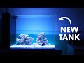 Setting-Up Waterbox Peninsula 25 &amp; Cycling - Nano Reef Tank (No Skimmer) | Blue Reef Tank