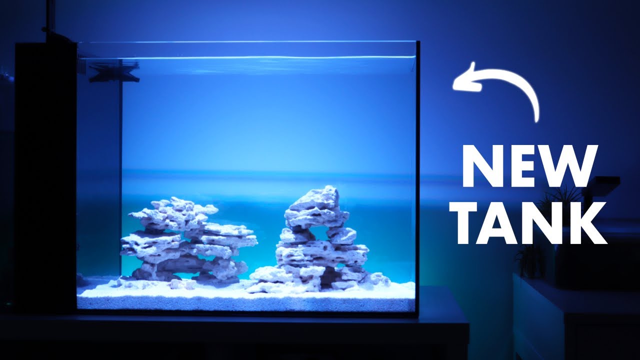 SettingUp Waterbox Peninsula 25 & Cycling Nano Reef Tank (No Skimmer