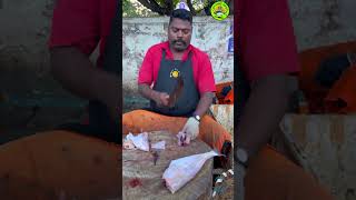 KASIMEDU SELVAM LETHER JACKET FISH CUTTING VIDEO kasimeduselvam shorts bigfish