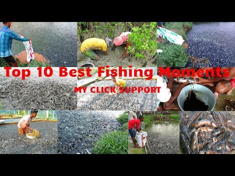 Top 10 Amazing Fishing Moments of 2019