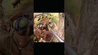 “Desi Cow 🐄 Hunt – The Smartest Cow in the Village!”#challenge #hunting #chasse #archery #outdoors