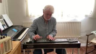 Video thumbnail of "Pedal Steel Let it be me"