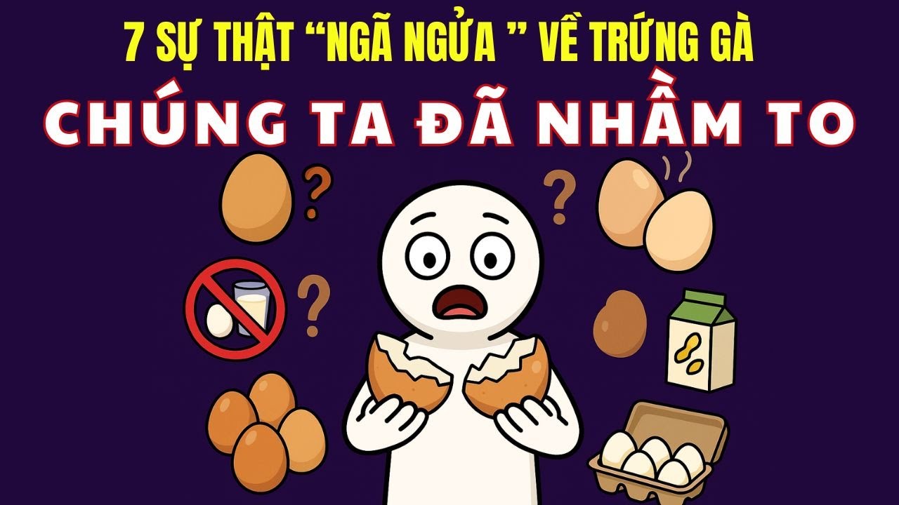7 HIỂU LẦM NGU NGỐC VỀ TRỨNG GÀ mà ai cũng tin!