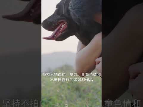 出道15年收入破亿，AV女神吉泽明步透露女优生涯最大坚持：绝不拍这4种题材
