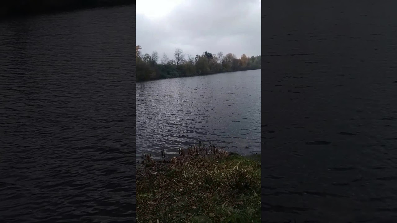 Finaler teste Autopilot carp XXL x Jet .