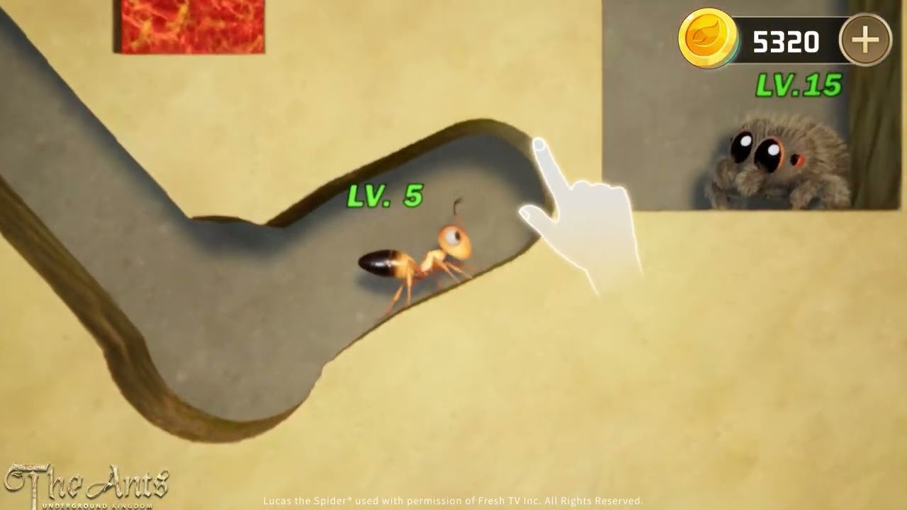 The Ants Story: Lucas the Spider1