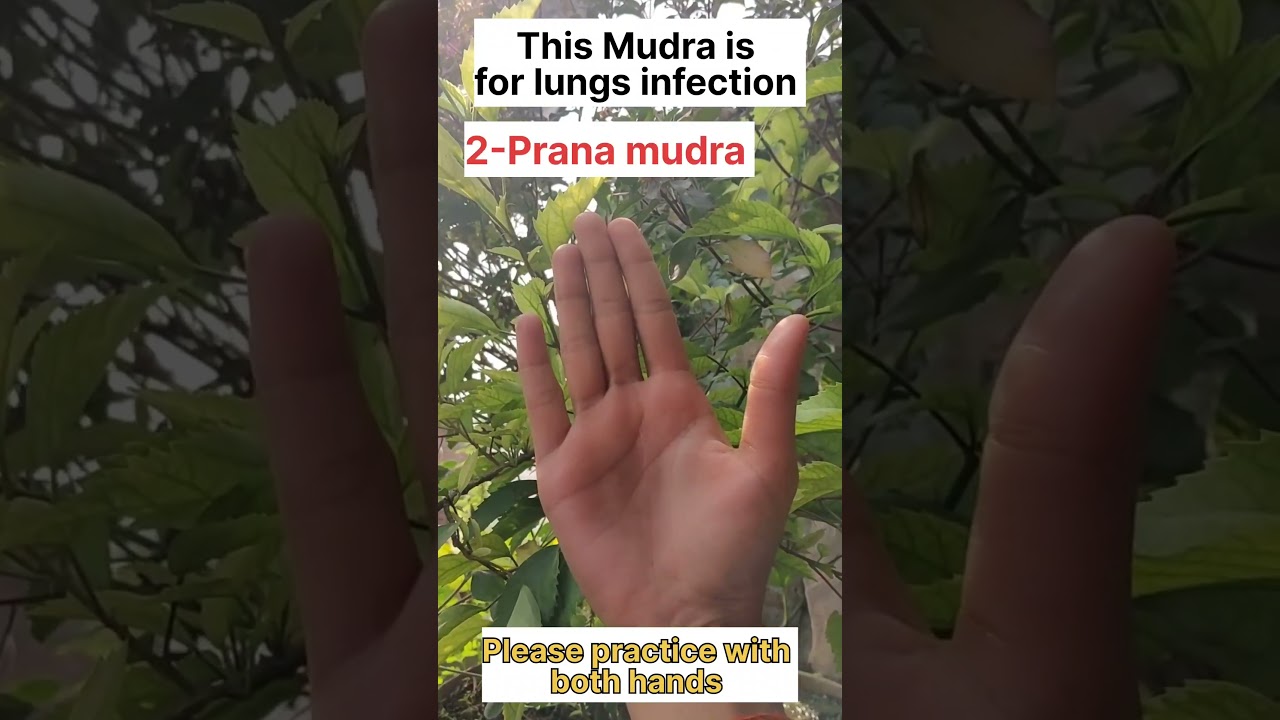 This mudra is for lungs infection ✨️