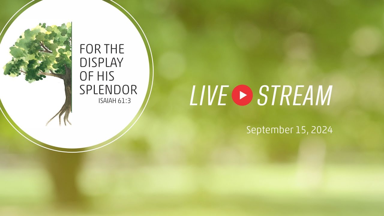 For the Display of His Splendor (Vision Series): For the Display of His ...