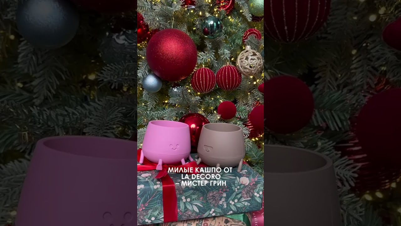 Новогоднее настроение уже повсюду! 🎄