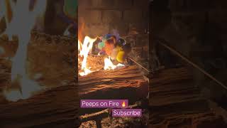 Peeps on Fire #shopping #easter #peeps #fire