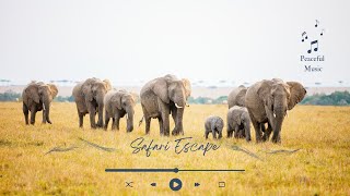 Calming Music: Safari Pulse