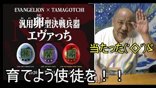 汎用卵型決戦兵器エヴァっち‼育ててみよう‼