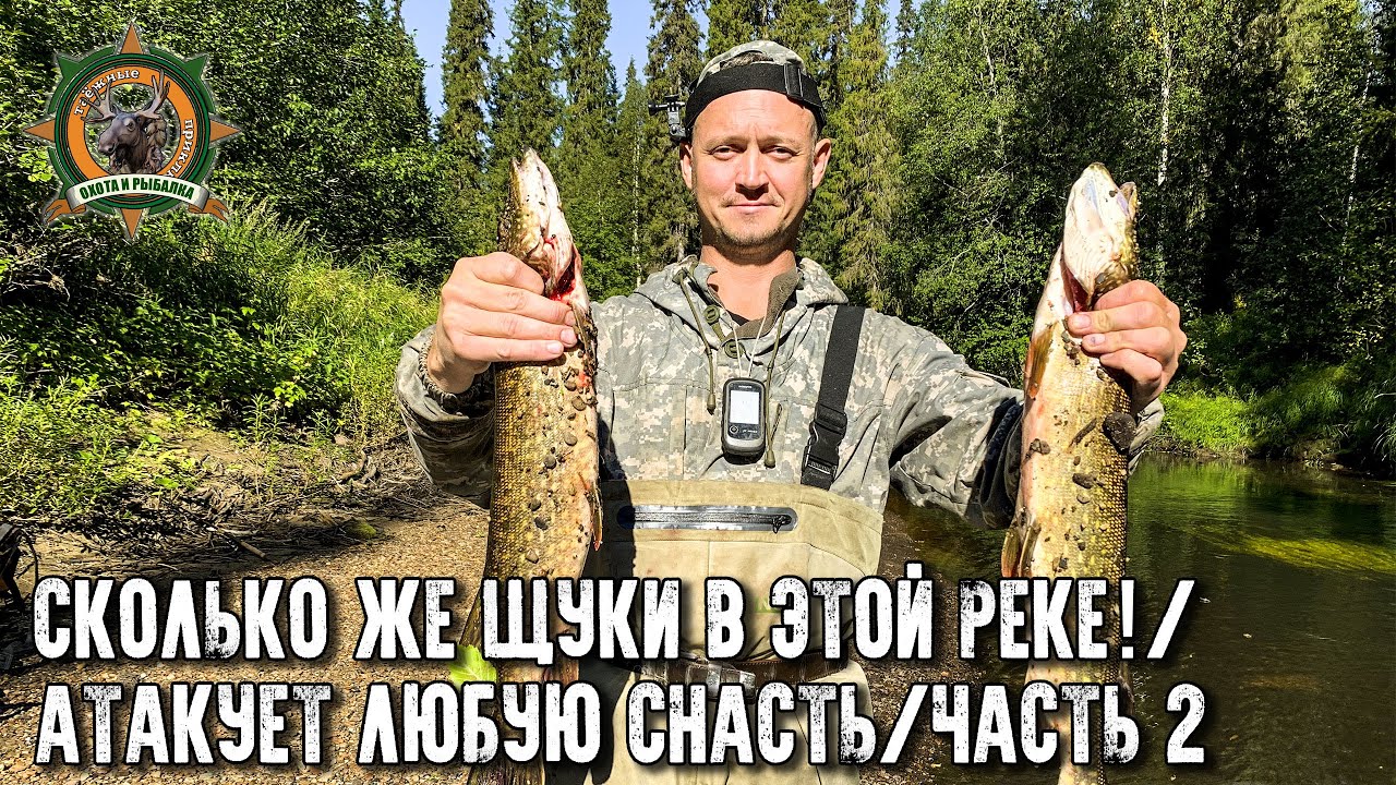 Столько щуки я еще не ловил/24 штуки за день!/На избе/Часть 2