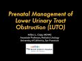 4.14.2020 PedsUroFLO Lecture - Prenatal Management of LUTO