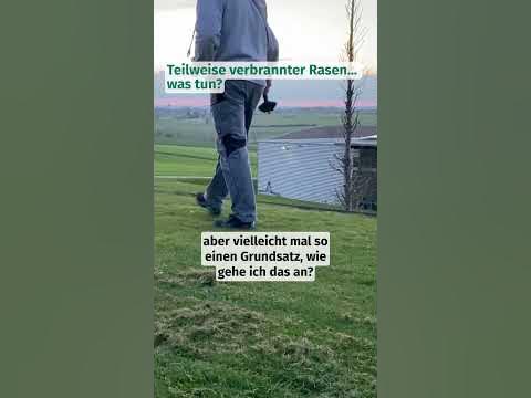 Verbrannte Stellen im Rasen? 🔥 foryou gras rasen verbrannterrasen 