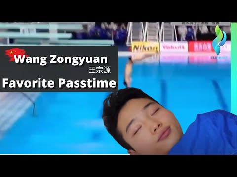 Wang Zongyuan 王宗源 - World & Olympic Diving Champion Mens 3 Meter thumbnail