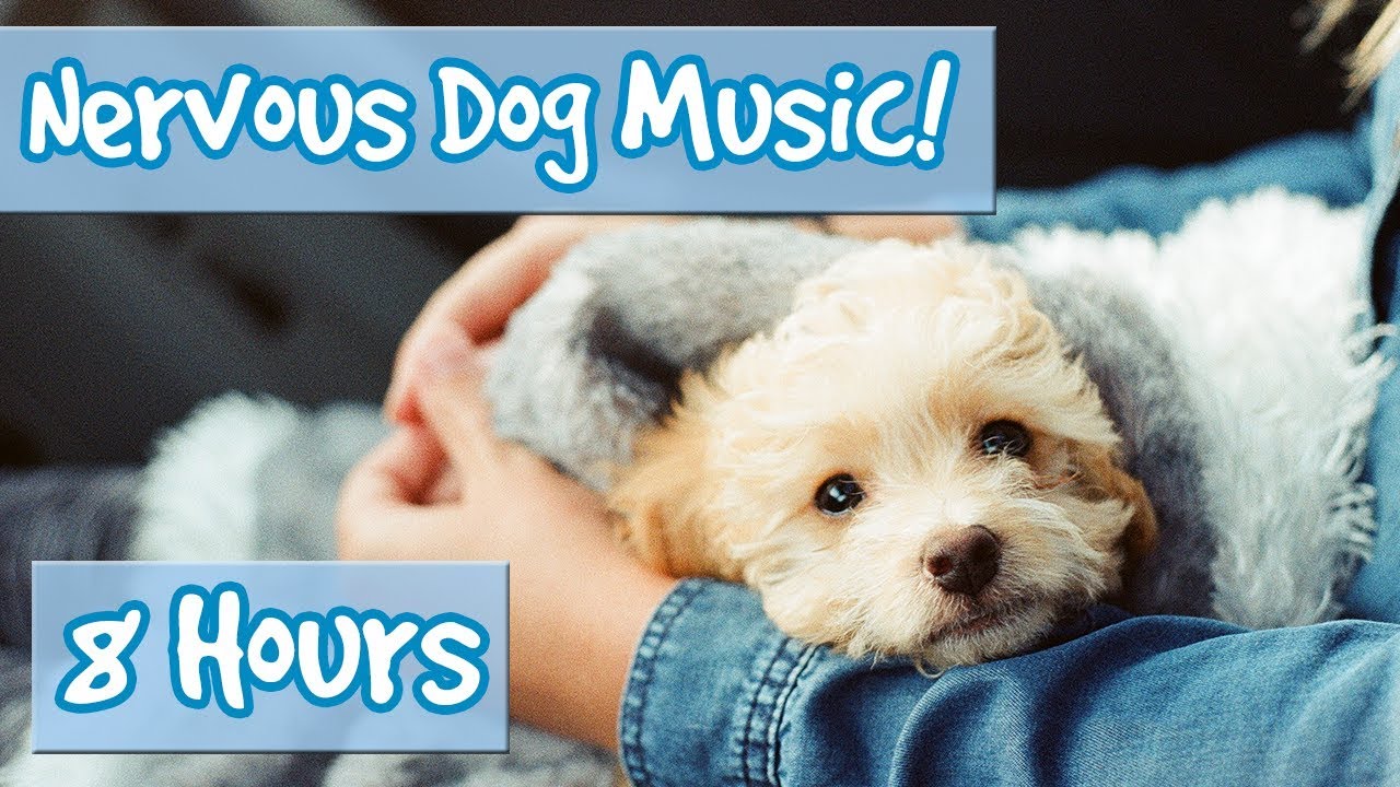 relaxing music for puppies to sleep