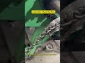 Automatic chain machine #chainmachine #automatic #machine #chain