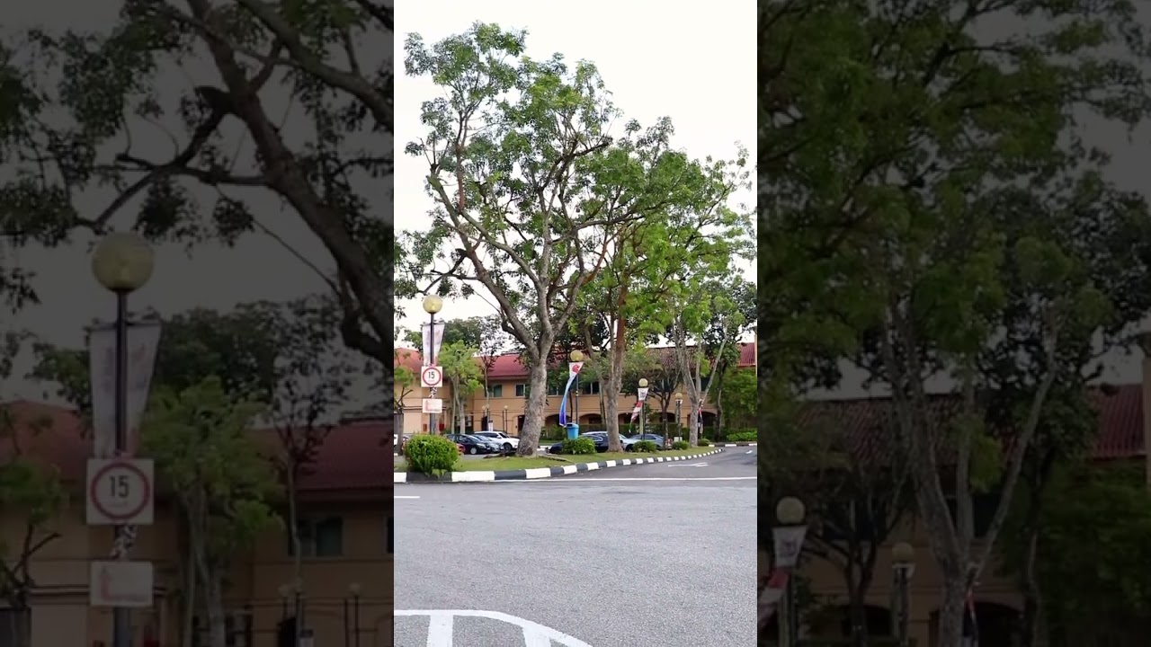 How to Get to Raffles Marina (from Tuas Link MRT)