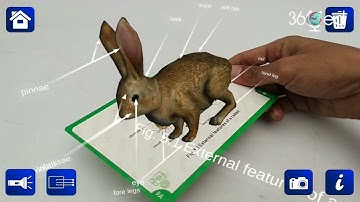 Science Comes Alive: Experience Datthinpones