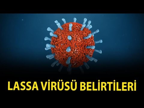 Video: Lassa virusu nədir?