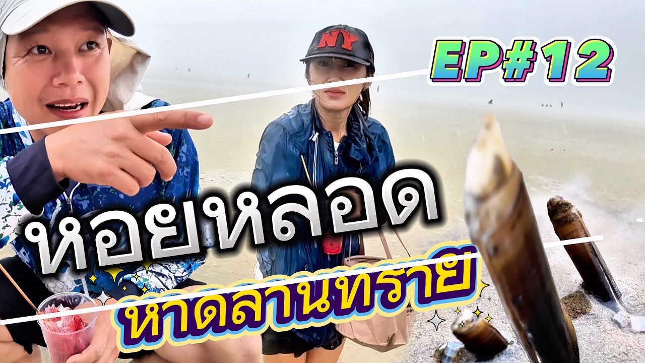 EP#12 หอยหลอด หาหอยธรรมชาติ จากนักท่องเที่ยวสู่ผู้ประสบภัย
