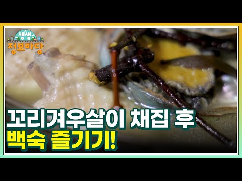 <strong>꼬리겨우살이</strong> 채집 후 백숙 즐기기! MBN 250108 방송
