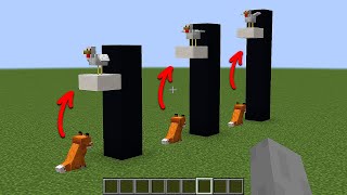 how high can a fox jump? screenshot 3