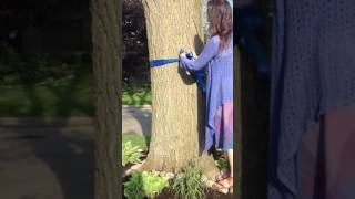 How to Tie a Blue Ribbon | Say No to Nestle