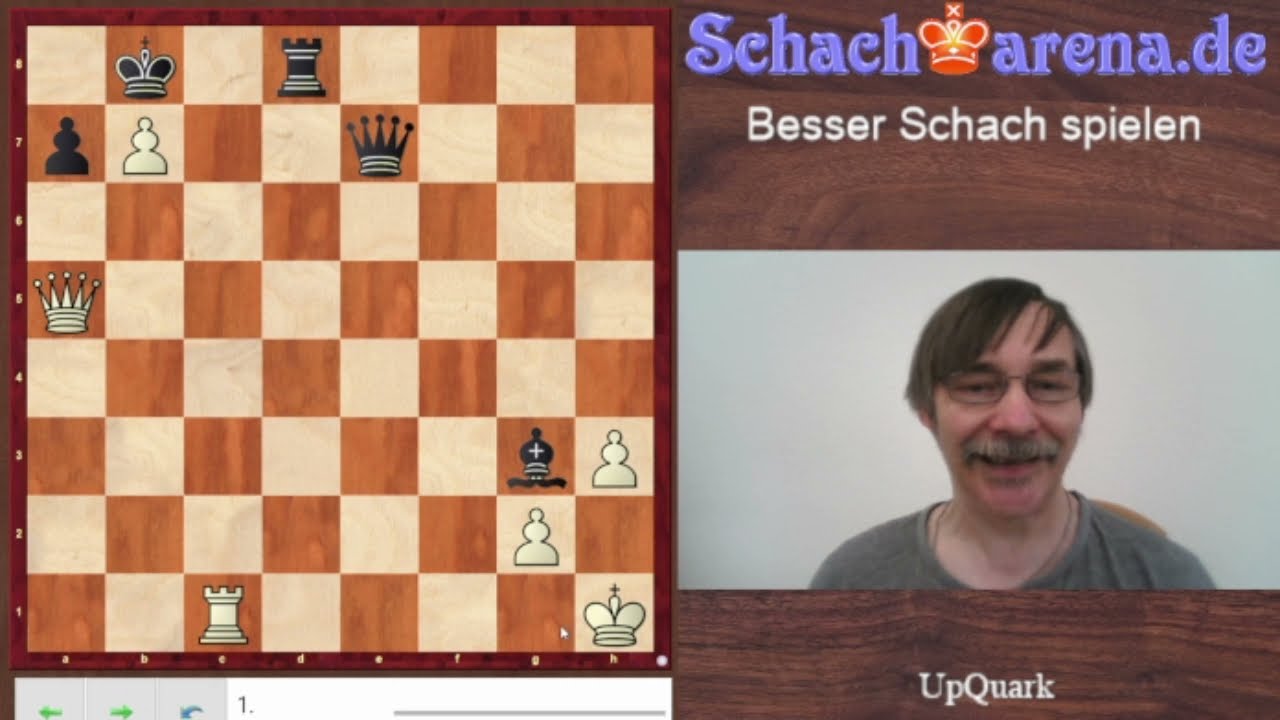 So kannst du sogar Großmeister im Schach werden! 🐦