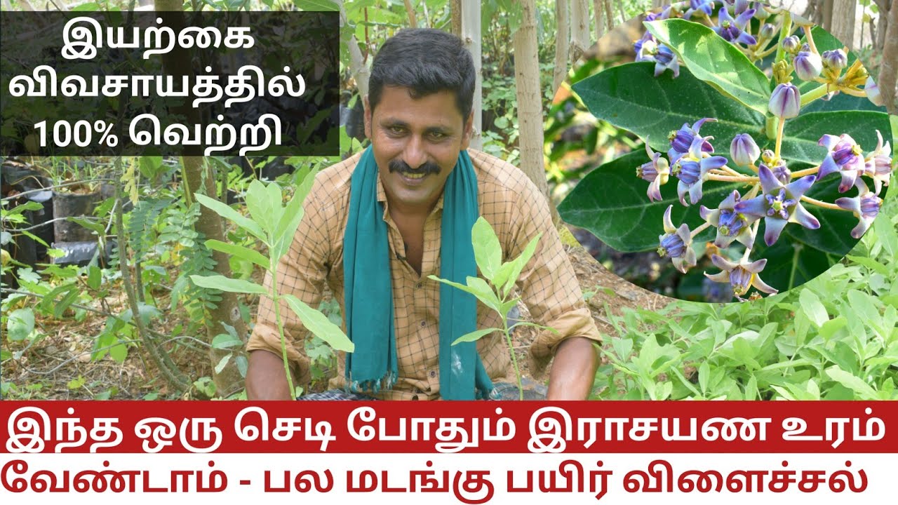வளமான விவசாயத்திற்கு செலவில்லா தழைச்சத்து
