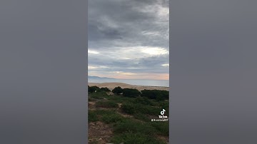 Câu mực ,cá , Sơn hải ninh Thuận kỹ thuật chưa chuẩn nha anh em  kỉ niệm 2021