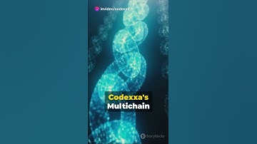 Multichain App Development Service| www.codexxa.in | #codexxa #MultichainApp #appdevelopment
