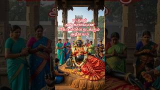 படலர அஙகளமமன கவலல நடககம அதசயம