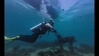 Diving Trip To Pasir Putih Situbondo, Mei 2024