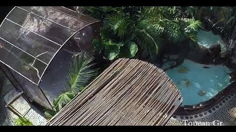 How To Build a Cage For Toco Toucan