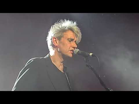 Tocotronic  - Drüben auf dem Hügel - live @ Felsenkeller Leipzig 19.03.2025