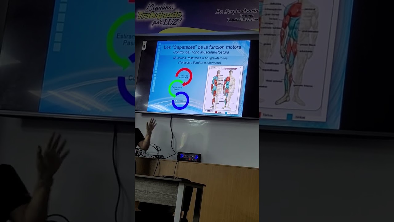 Fisiología SNC clase 5