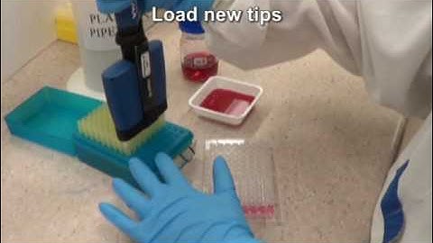 Serial dilutions using a multichannel pipette