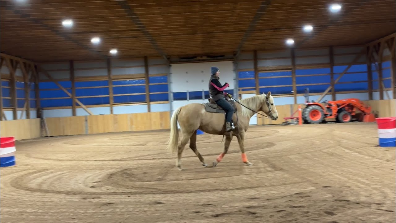 Learning the Barrel Racing Basics - Jets Journey (1.5 months) - YouTube