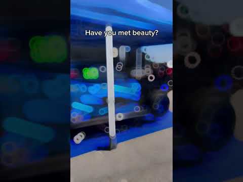 Have you met Beauty?