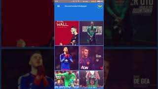 Tutorial David de Gea Wallpapers HD New screenshot 3
