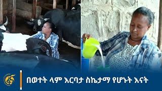 በወተት ላም እርባታ ስኬታማ የሆኑት እናት