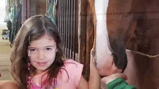 Rosabella’ horse camp 2019