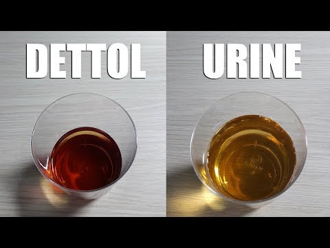 dettol-pregnancy-test-positive-video---pregnancy-test-with-dettol---how-to-make-pregnancy-test